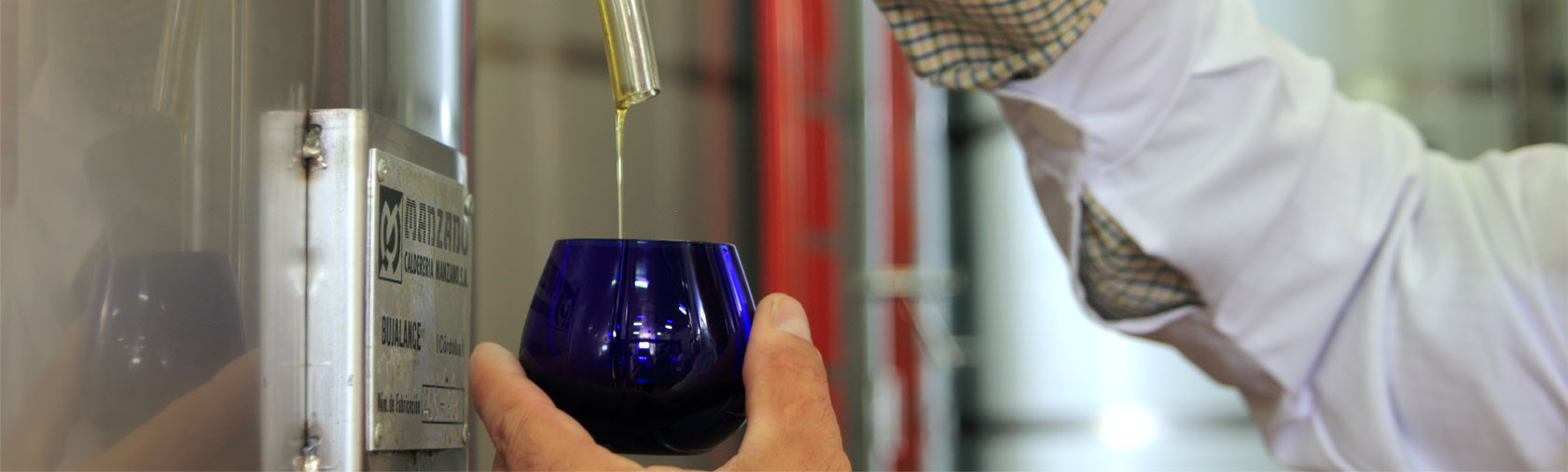 Extracción en frío del aceite de oliva